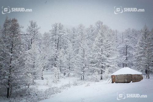 Ихэнх нутгаар цаг агаар тогтуун байна